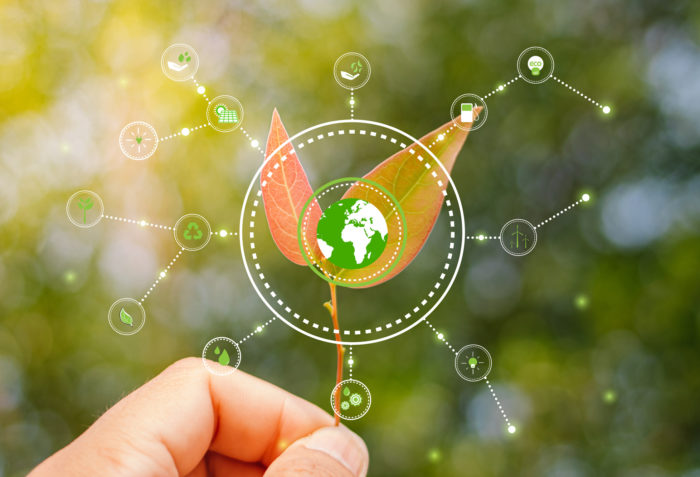 Autorizzazione Unica Ambientale (AUA), EcoDoc srls Consulenza